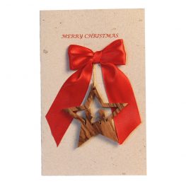 Christmas Card & Ornament - Star Nativity