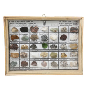 Fossils, Minerals & Rocks box w/ glass (M)